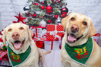 Elf Squad Holiday Dog Bandana - Over the Collar