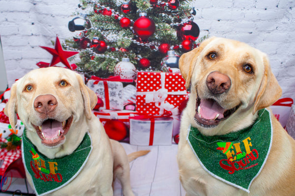 Dog store elf bandana