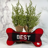 Personalized Dog Bone Toy - Best Dog Buffalo Plaid With Matching Scarf