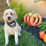 “Halloween Dog Accessories: Embroidered Bandana for Your Furry Friend” Boo Crew