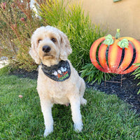 “Halloween Dog Accessories: Embroidered Bandana for Your Furry Friend” Boo Crew