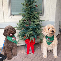 Feliz NaviDOOD Holiday Pet Bandanas