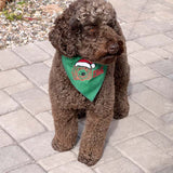 Feliz NaviDOOD Holiday Pet Bandanas