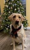 Personalized Dog Scarf - Buffalo Plaid