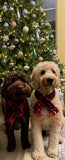 Personalized Dog Scarf - Buffalo Plaid