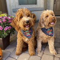 Spooky Doodle Embroidered Halloween Customized Bandana for Pets