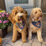 Spooky Doodle Embroidered Halloween Customized Bandana for Pets