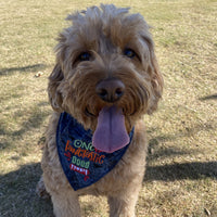 Spooky Doodle Embroidered Halloween Customized Bandana for Pets