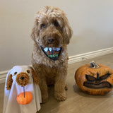 “Halloween Dog Accessories: Embroidered Bandana for Your Furry Friend” Boo Crew